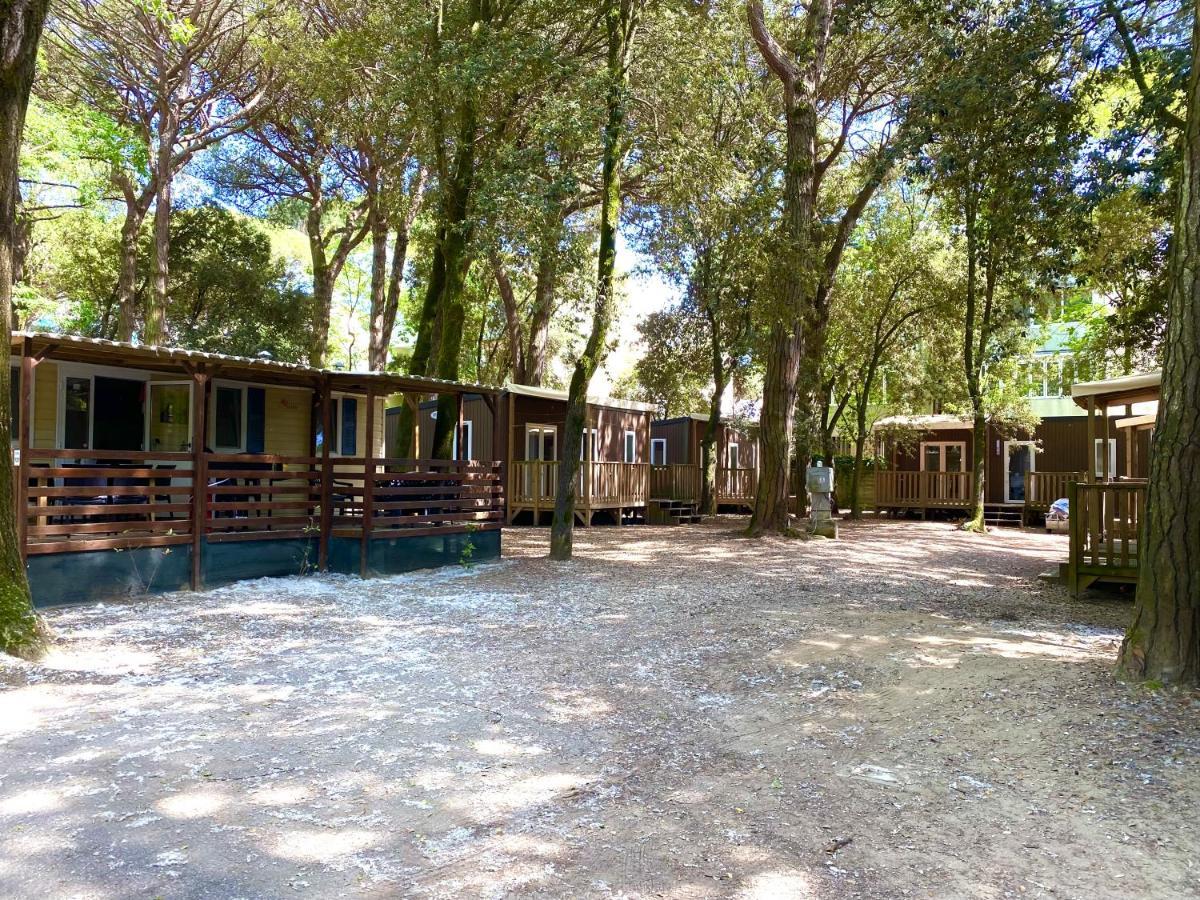 Dena Chalets - Lido Di Spina At The Beach المظهر الخارجي الصورة